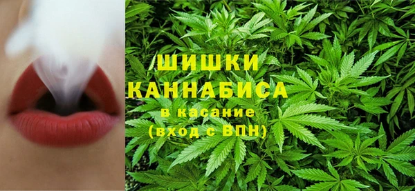 твердый Иннополис
