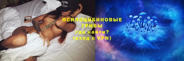 твердый Иннополис