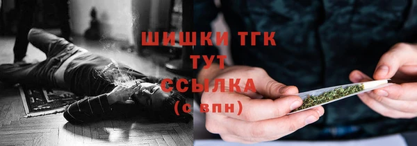 твердый Иннополис