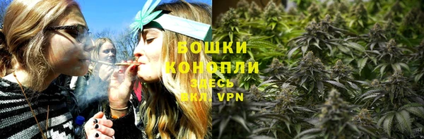 прущая мука Инсар