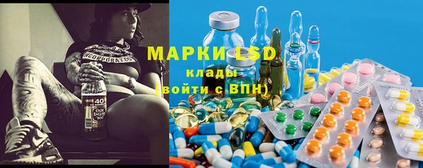 прущая мука Инсар