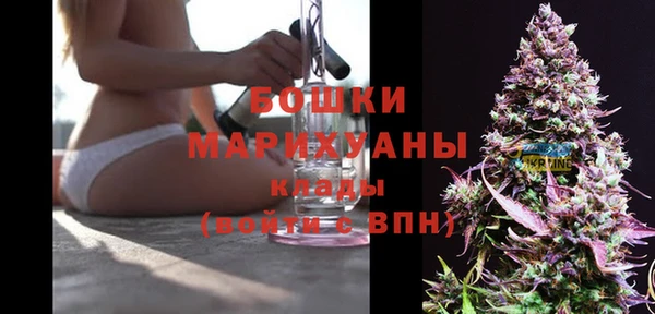 прущая мука Инсар