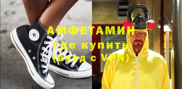 твердый Иннополис