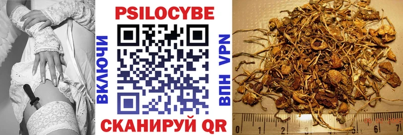 Галлюциногенные грибы Cubensis Емва